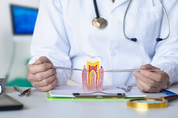 Best Emergency Root Canal Therapy in Donora, PA